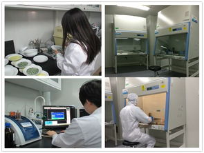 健康家電檢測(cè)中心 測(cè)試計(jì)量技術(shù)研究所 環(huán)境與健康相關(guān)產(chǎn)品檢測(cè)所簡(jiǎn)介與技術(shù)服務(wù)體系